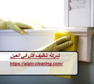 شركة تنظيف فلل في العين