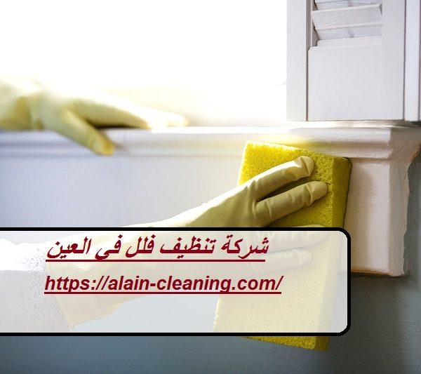 شركة تنظيف فلل في العين