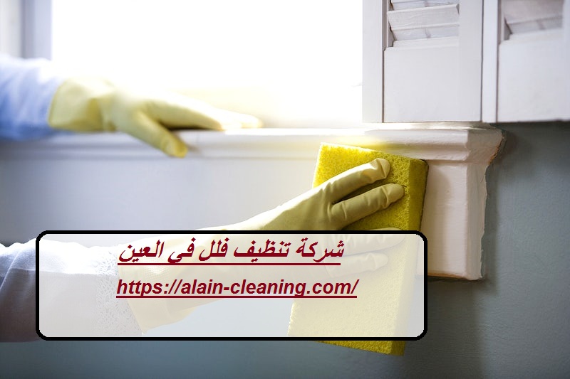 شركة تنظيف فلل في العين