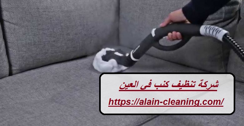 شركة تنظيف كنب في العين