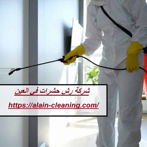 شركة رش حشرات في العين