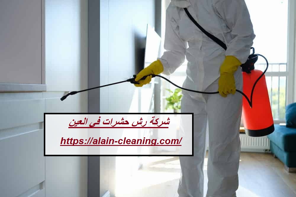 شركة رش حشرات في العين