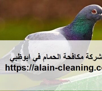 شركة مكافحة الحمام في ابوظبي