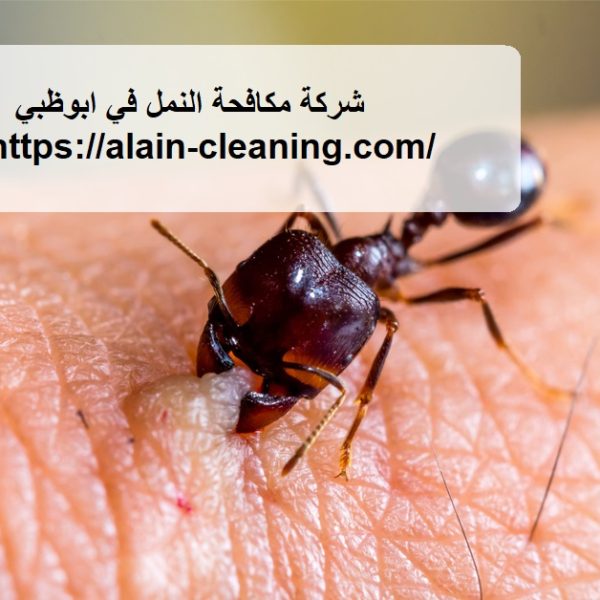 شركة مكافحة النمل في ابوظبي