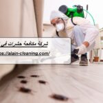 شركة مكافحة حشرات في العين