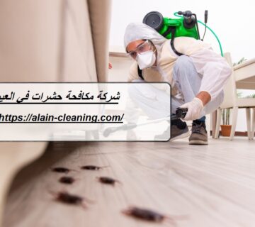شركة مكافحة حشرات في العين