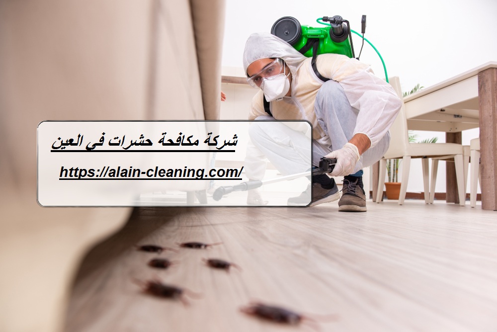 شركة مكافحة حشرات في العين